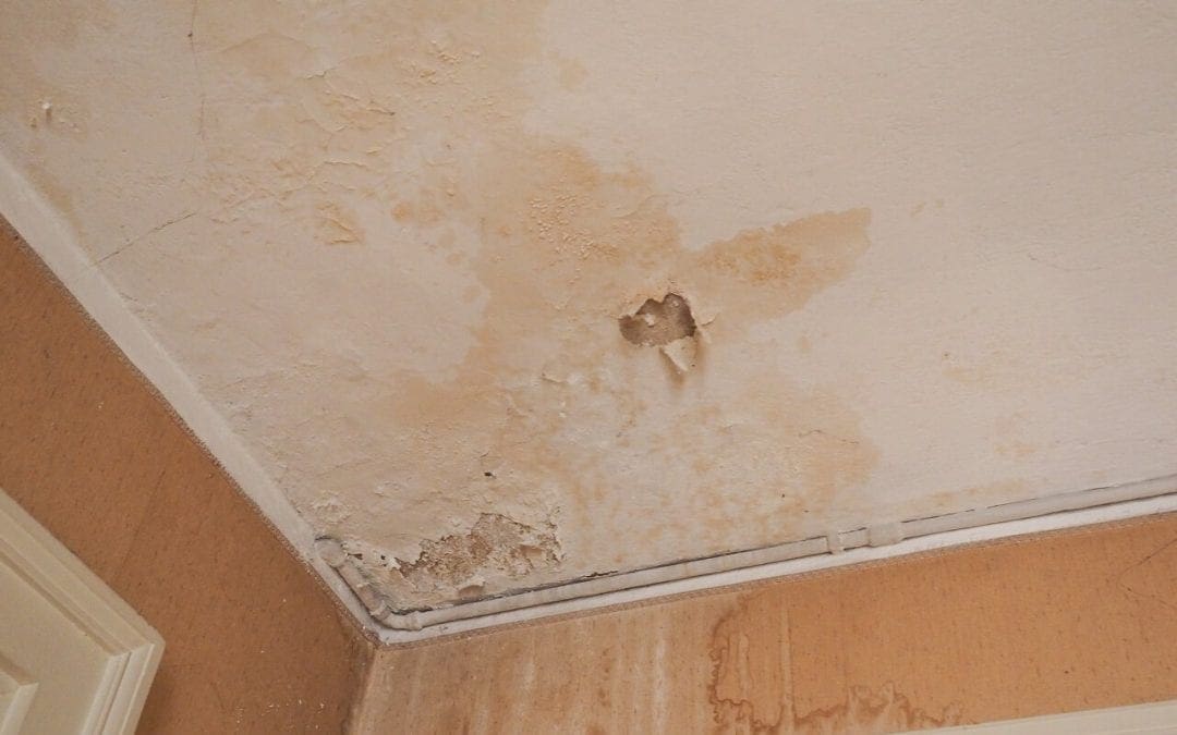 Places to Look for Hidden Water Damage in Your Home