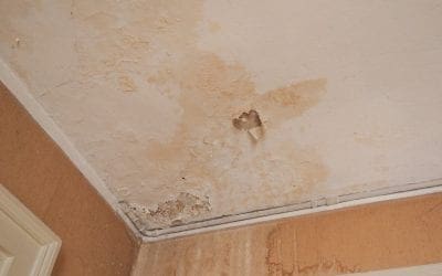 Places to Look for Hidden Water Damage in Your Home
