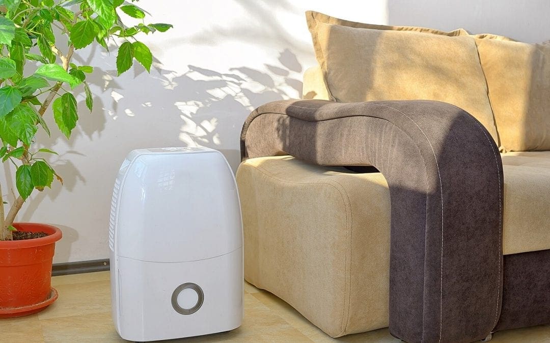 5 Ways to Promote Wellness at Home