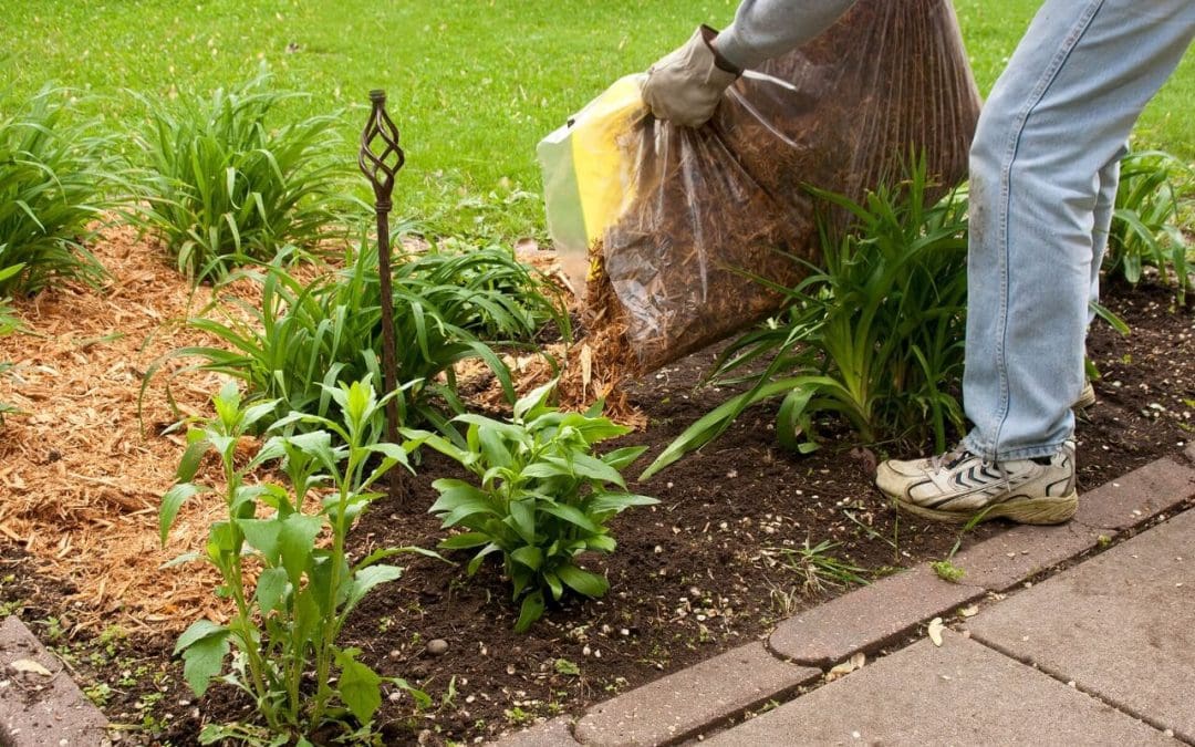 6 Summer Home Improvement Ideas