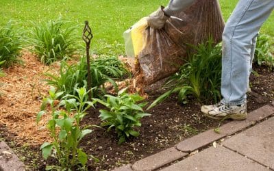 6 Summer Home Improvement Ideas