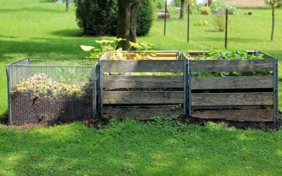 5 Tips and Tricks for Composting at Home