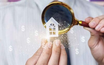 Smart Solutions to Improve Drainage and Protect Your Property